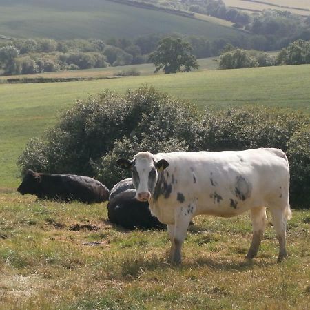 אקסטר Harepath Farm Cottages 1 מראה חיצוני תמונה