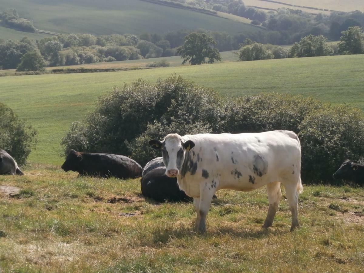 אקסטר Harepath Farm Cottages 1 מראה חיצוני תמונה